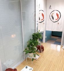 -维纳斯专业减肥