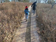 -京贸物联批发市场