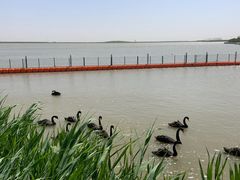 -天津东丽湖风景区