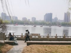 -莲花池公园