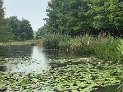 -白鹭湾湿地公园