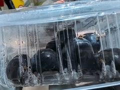 -鲜丰水果(大武汉1911店)