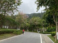 -火炉山森林公园