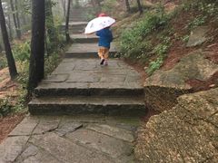 -沂蒙山旅游区云蒙景区(蒙山国家森林公园)
