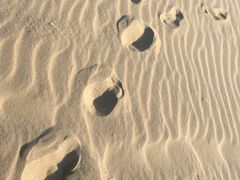 -佰园全日西餐厅-厦门佰翔软件园酒店