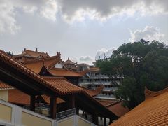 -深圳仙湖植物园