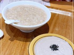 -海丝金凤(金鱼店)