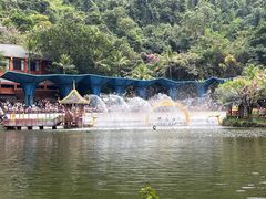 -西双版纳原始森林公园