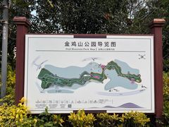 -金鸡山公园