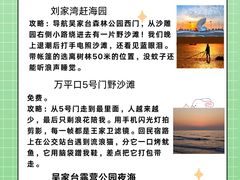 -日照灯塔风景区