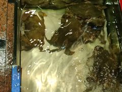 -东豪园林海鲜酒家(南港路辅路店)