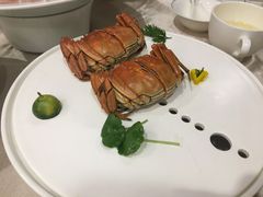 -食神鱼头佛跳墙(百子湾旗舰店)
