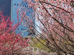 -白塘生态植物园