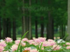 -白鹭湾湿地公园