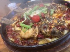 -老板恋上鱼(恒隆广场店)