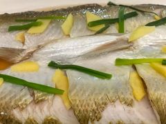 -观桥阁(锦溪店)