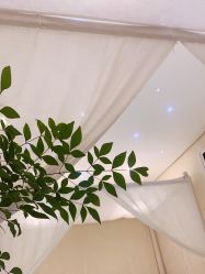 -奥斯芬欧系贵族SPA