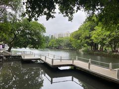 -荔枝公园(福田区)