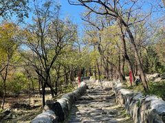 -阳台山自然风景区