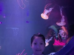 -欢乐海岸海洋奇梦馆