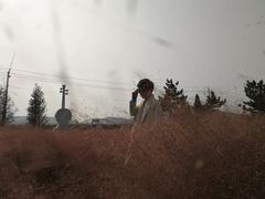 -羊亭河湿地公园