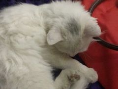 android_upload_pic-Sirena海妖日咖夜酒