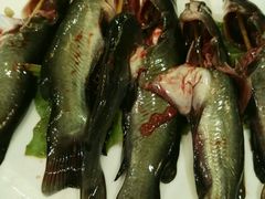 -蜀九香火锅(九眼桥店)