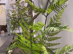 -小徽舟臭鳜鱼(雅清街店)