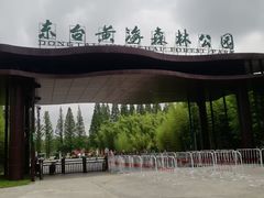 -黄海国家森林公园