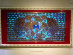 上海昆虫博物馆-上海昆虫博物馆