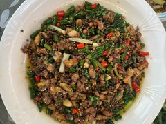 -铁山坪森林公园