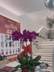 -LJOY丽锦造型·烫发染发