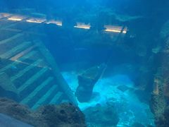 -石家庄海洋公园
