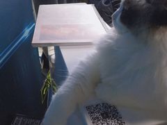 -零纪元VR体验馆·桌游(黄浦店)