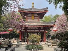 -大唐博相府酒店·陕西官府菜