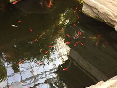-北京植物园-展览温室