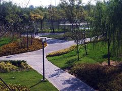 -大兴滨河森林公园