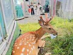 -萍乡武功山风景名胜区