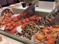 -富力希尔顿酒店·地阔自助餐厅