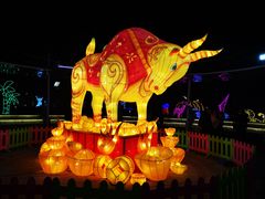 -南宫五洲植物乐园