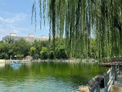-莲湖公园