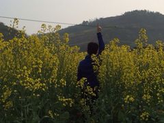 iphone_upload_pic-桑洲油菜花景区