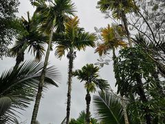 -呀诺达热带雨林