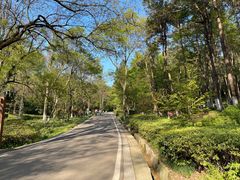 -南京老山国家森林公园
