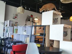 大堂-Cappucimeow猫咪咖啡馆(韦伯时代店)