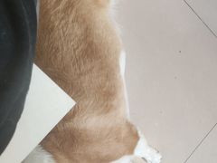 -平行世界·猫咖(首经贸店)
