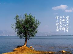 -大理洱海