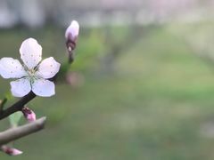 -宿迁学院