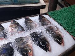 -老酒川菜坊(中山西路店)