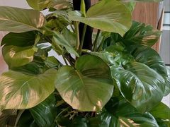 -云川台球(马甸店)